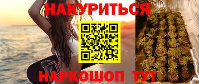 крисы Свободный