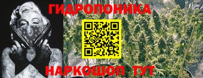 крисы Свободный