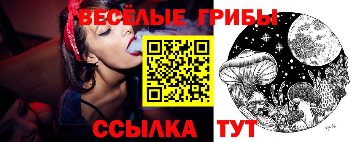 Галлюциногенные грибы Magic Shrooms Новотроицк