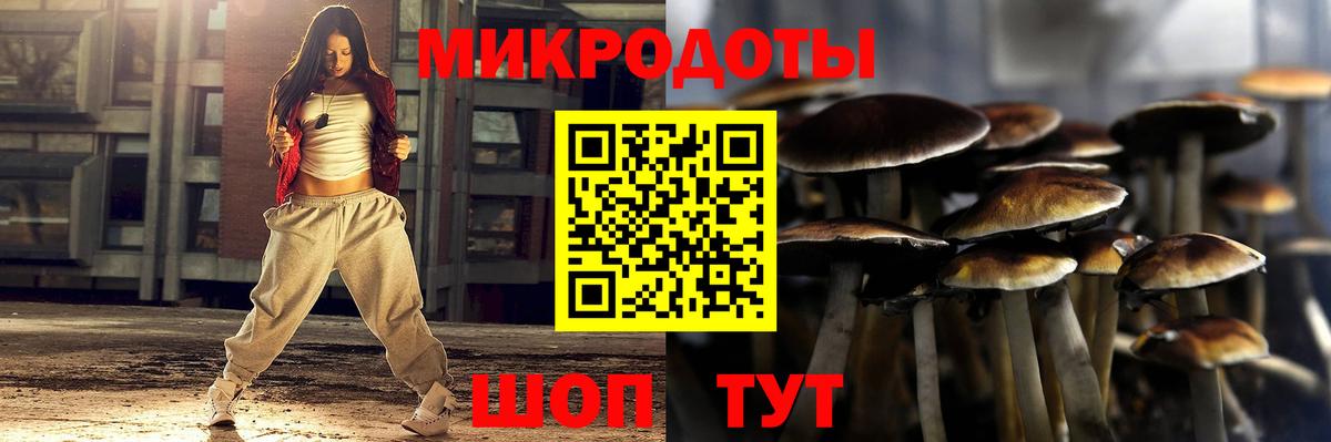 Новотроицк  Галлюциногенные грибы Cubensis  Вход с VPN 